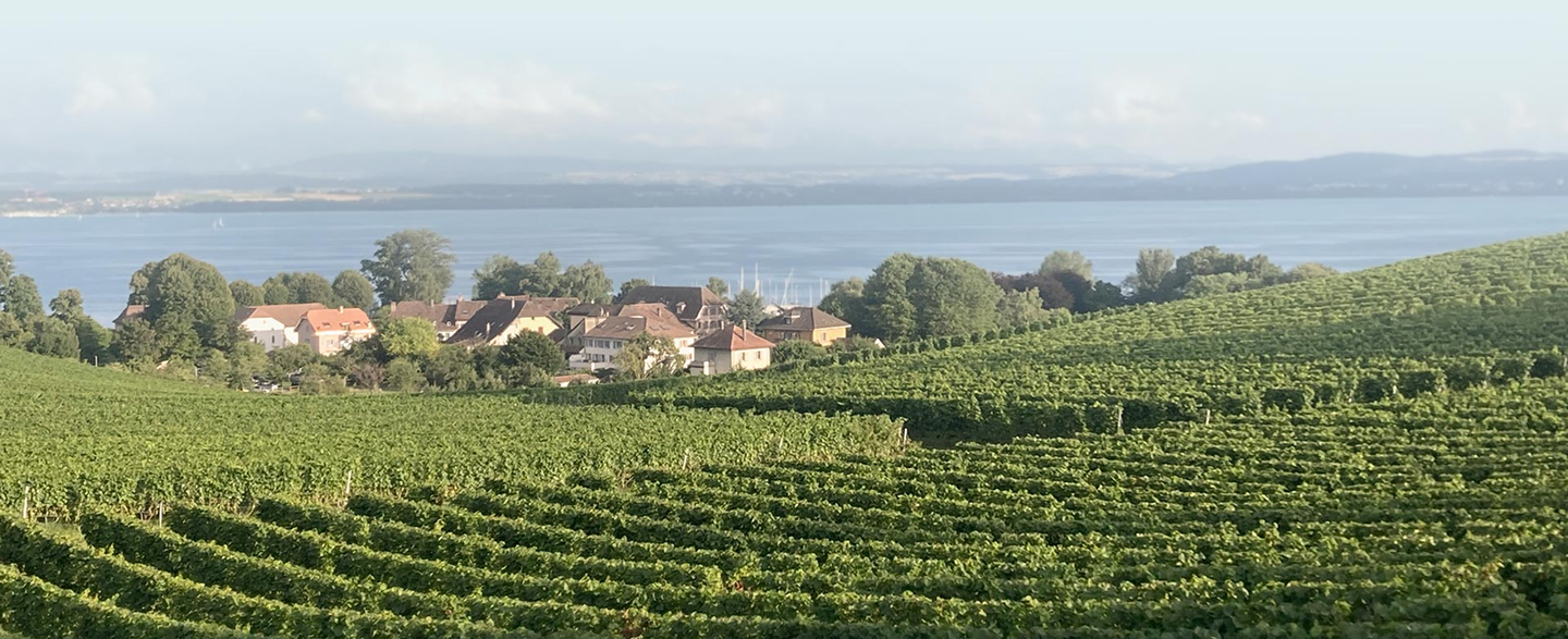 Image de backgroung - Ostéopathe des coteaux